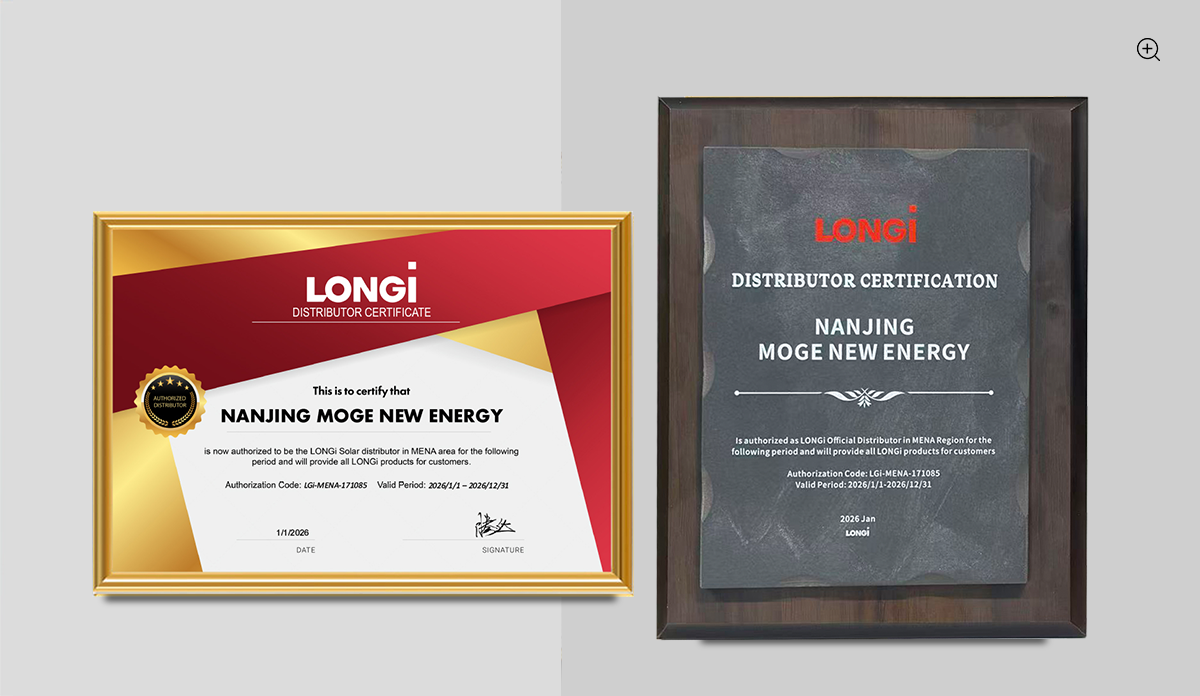 Longi solar certificate