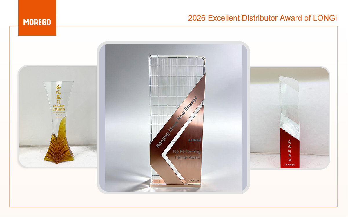 2025 2026 LONGI Excellent Distributor Award
