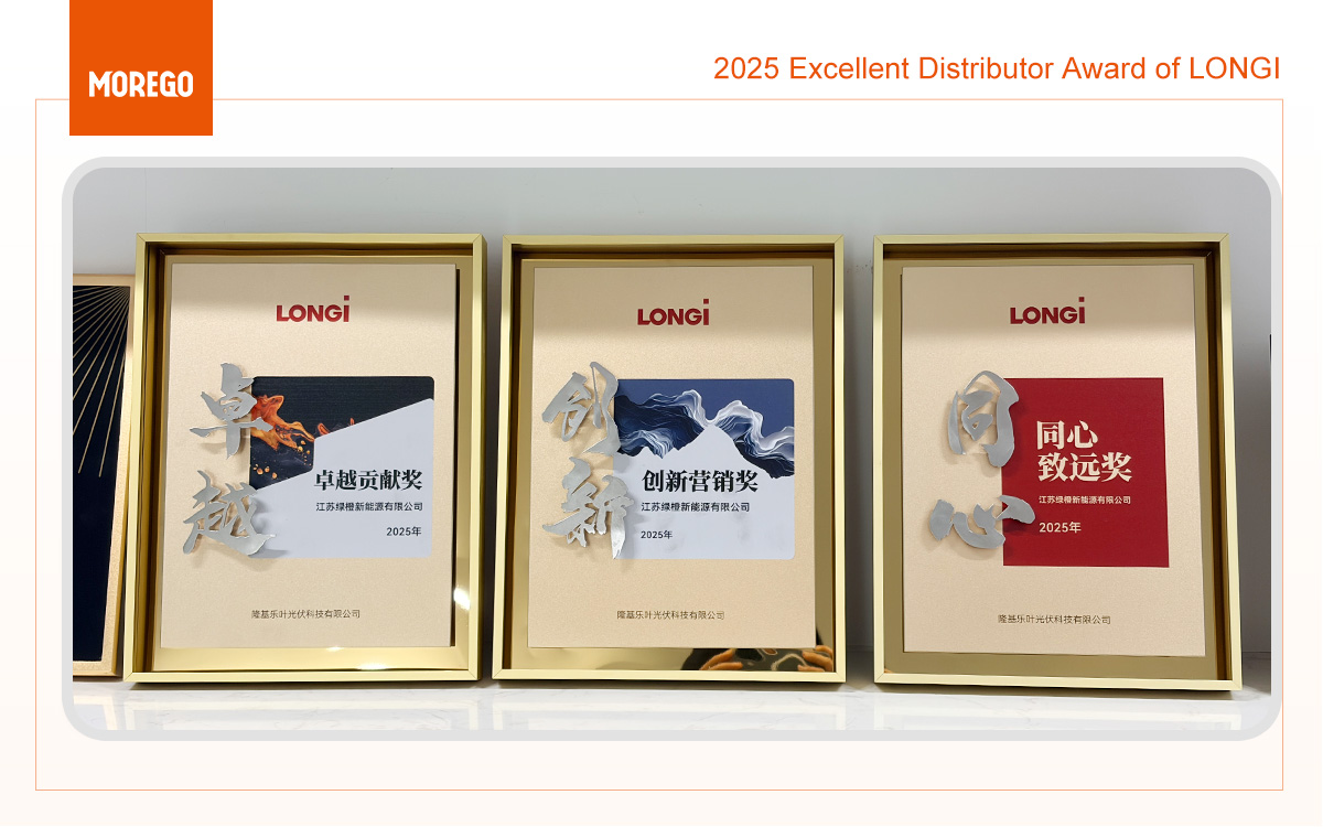 LONGI Excellent Distributor Award
