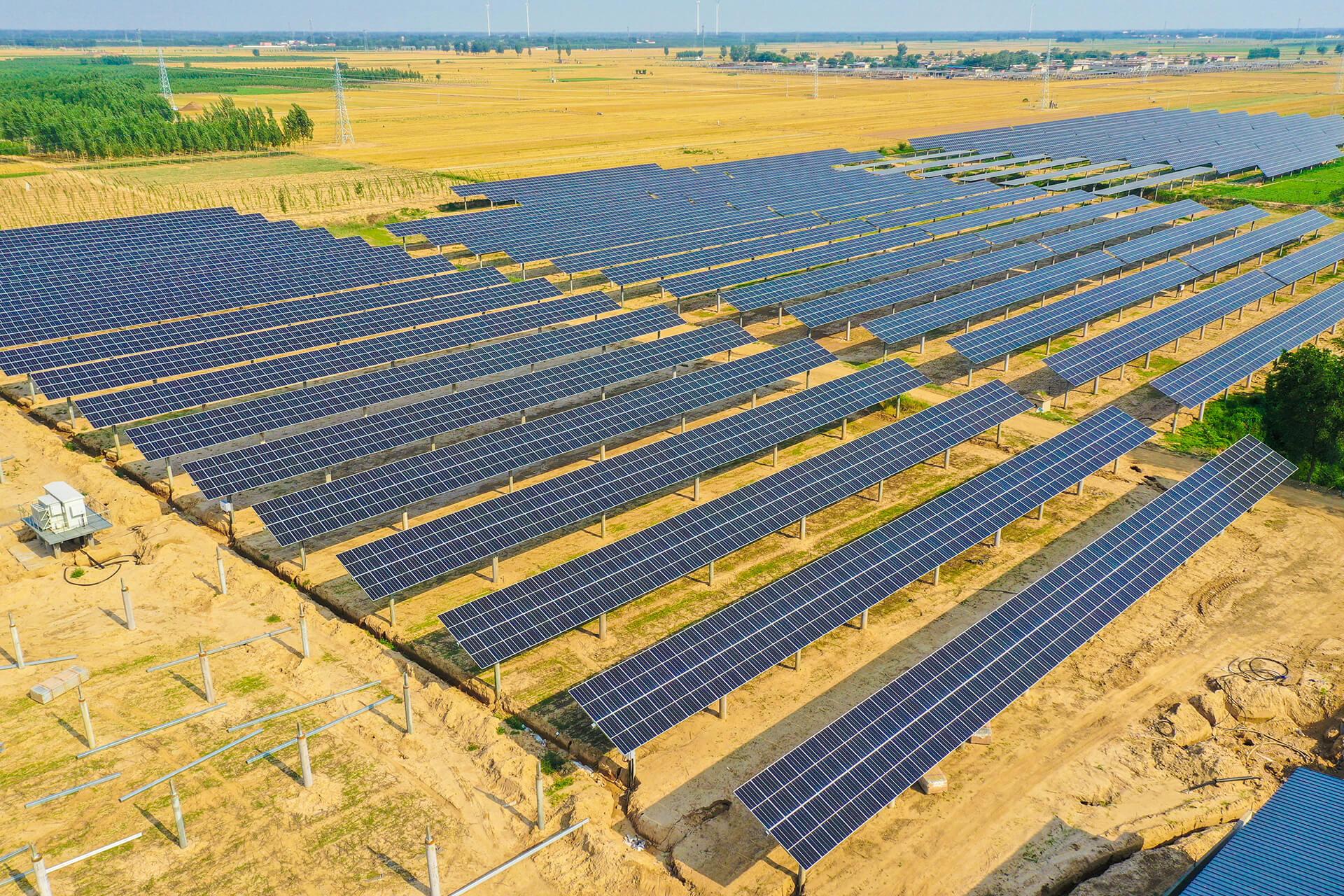 Cómo obtener módulos solares Trina genuinos para proyectos a gran escala en el sur de Asia