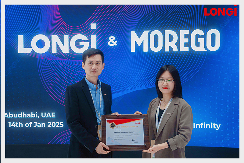 Longi solar Moregosolar