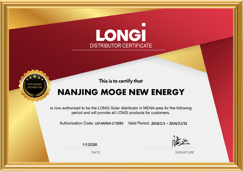 Longi Morego Solar