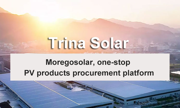 Trina-Solar-Panel--M