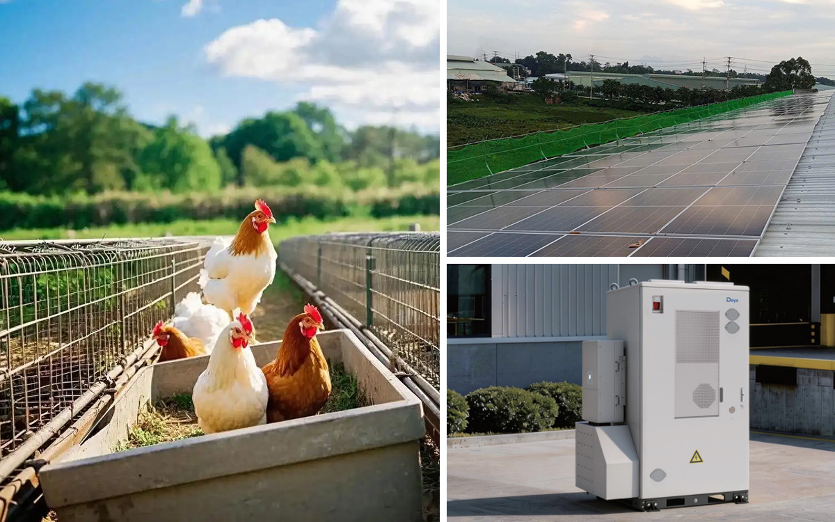 Poultry Farm ESS Solution 256kwh