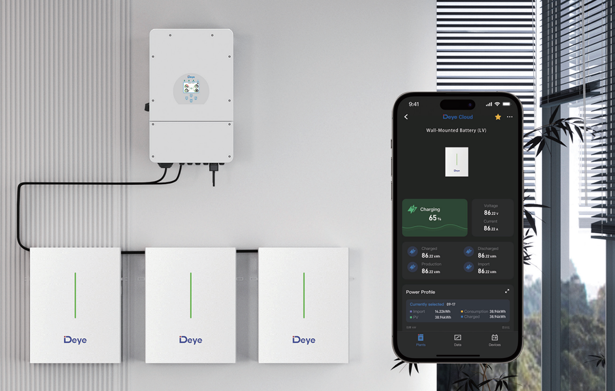 deye interligent energy management